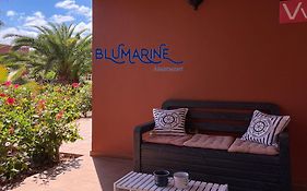 Tamarindo Blumarine - pool&wifi free 4 persons